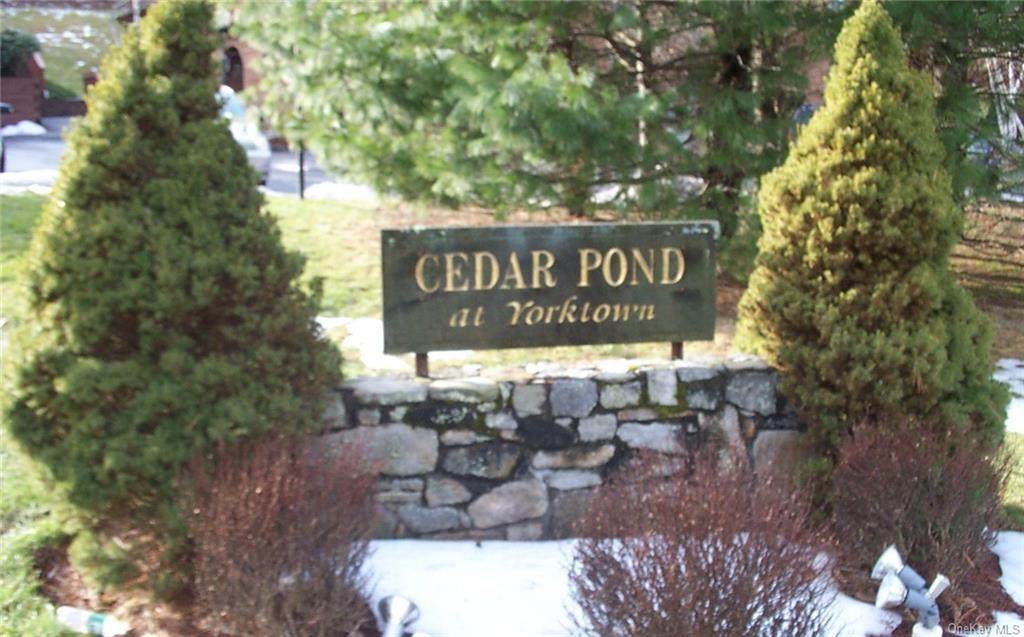 46 Cedar Pond Lane - Photo 1