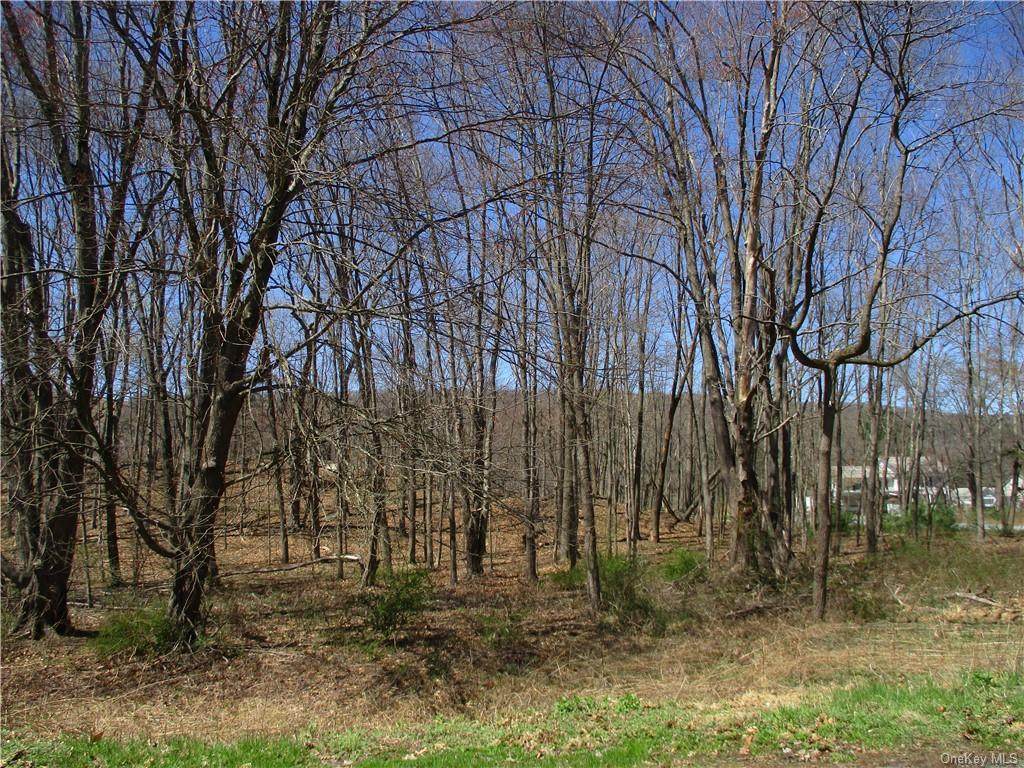 56 Route 209 - Photo 1
