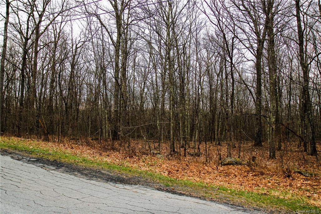 Lenni Lenape Road - Photo 1