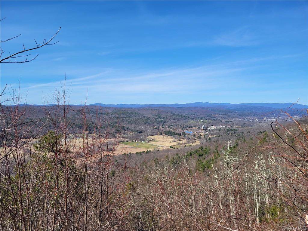 Old Plank Road - Photo 1