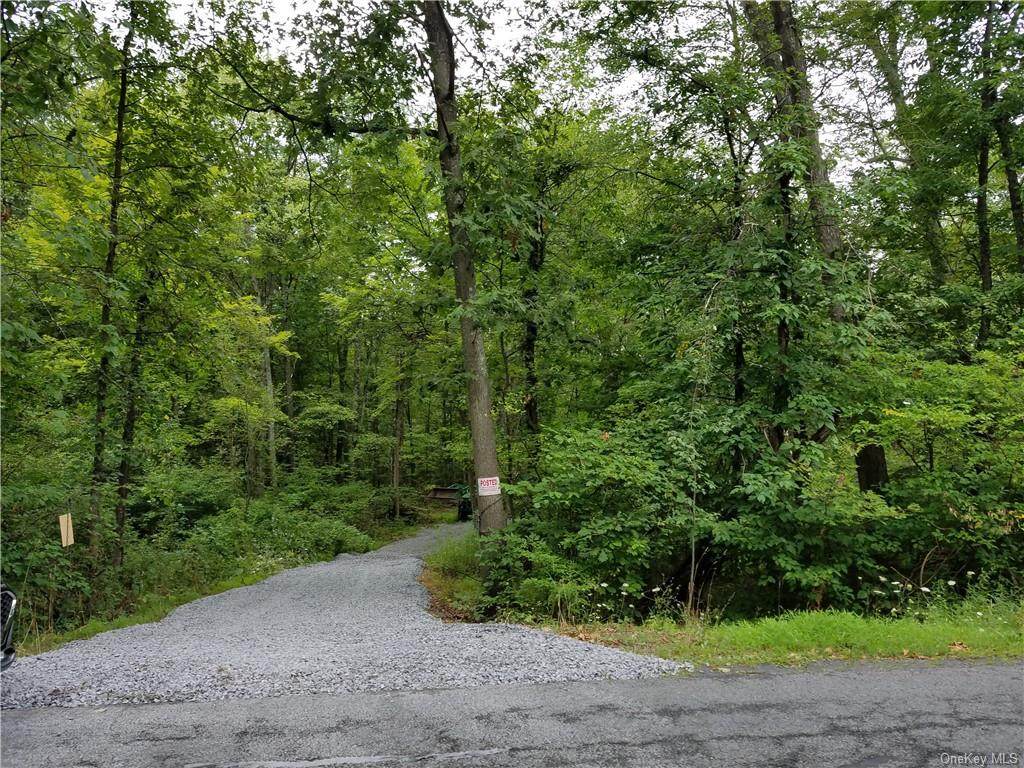 Rabbit Run Road - Photo 1