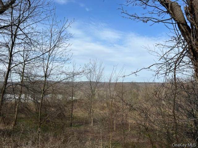 Lot 108 Jogee Road - Photo 1