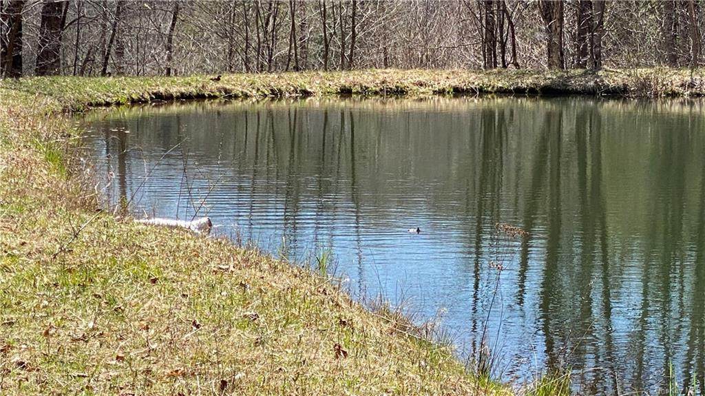 321 Benton Hollow Road - Photo 1
