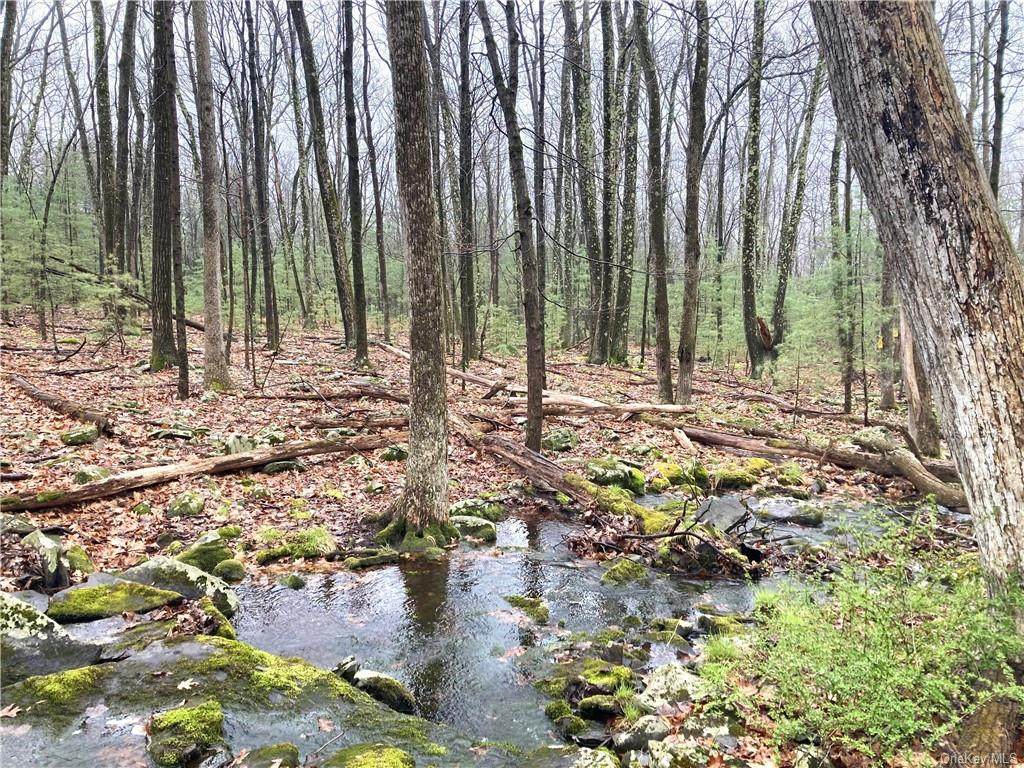 TBD Pine Kill Road - Photo 1