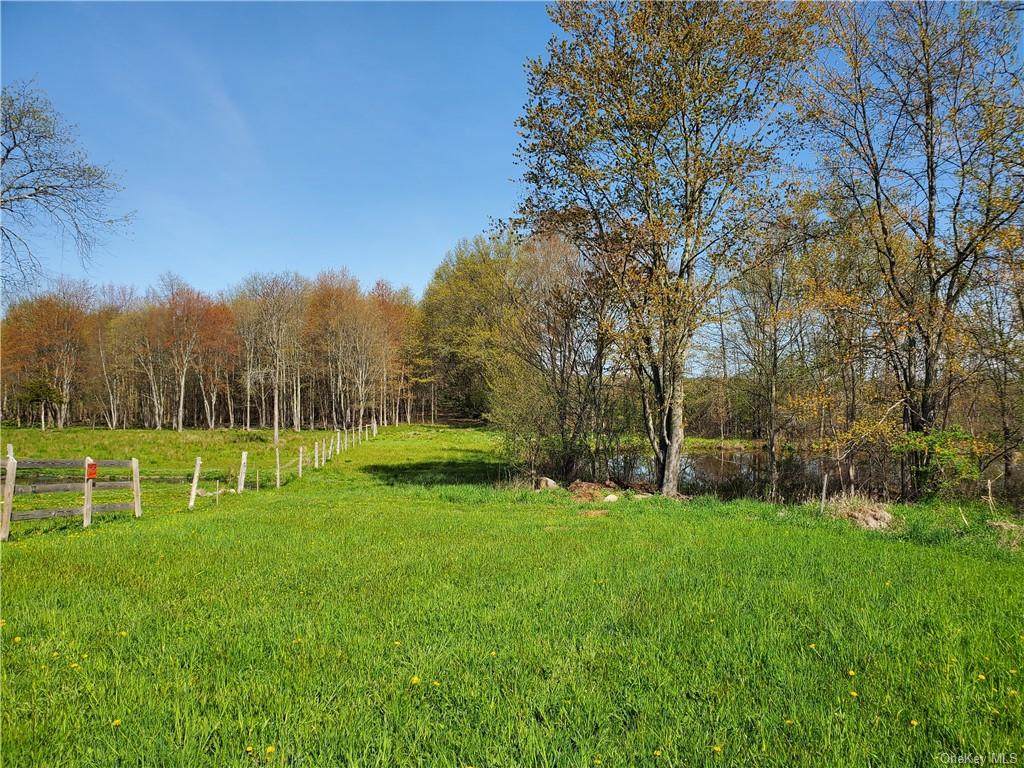 Ryerson Road - Photo 1