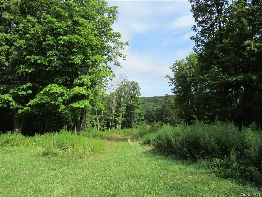 Quaker Hill Road - Photo 1