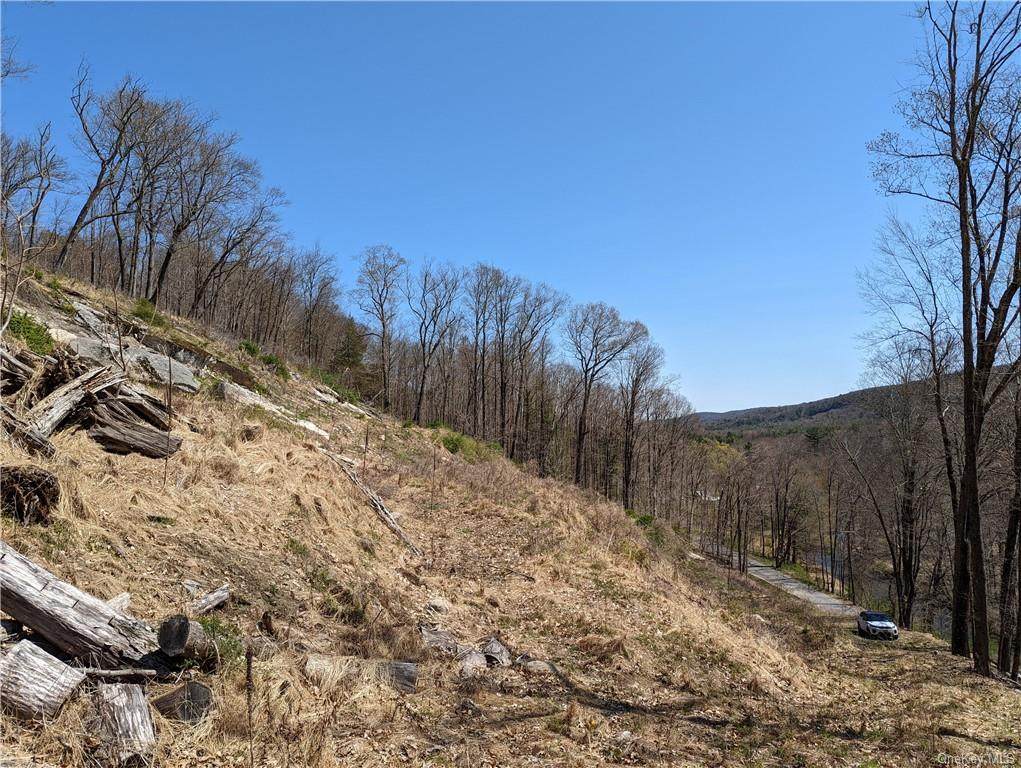 Clove Valley Road - Photo 1