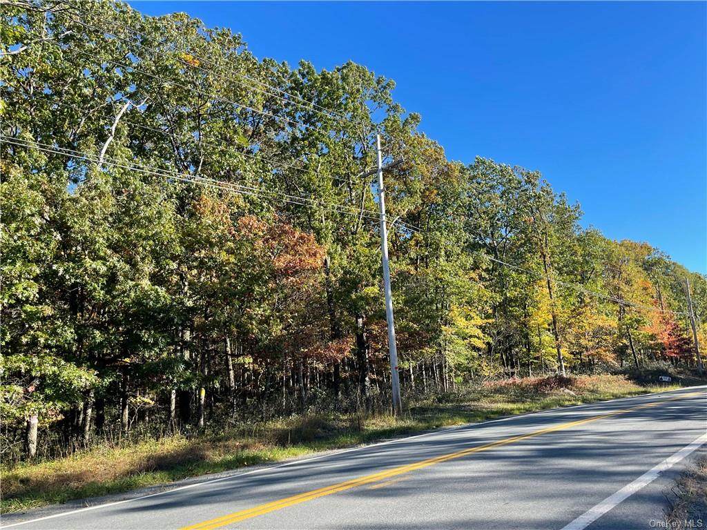 County Route 56 - Photo 1