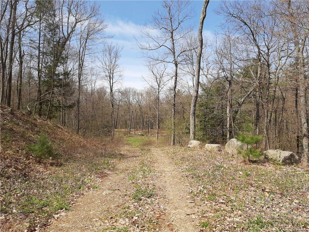78 Martin Sweedish Road - Photo 1