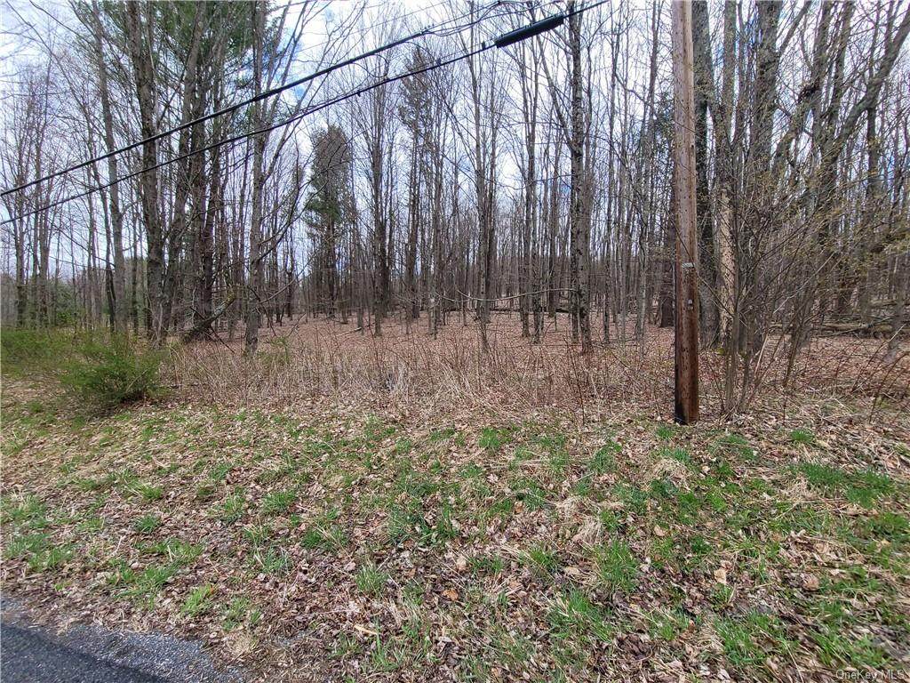 Hamilton Road - Photo 1