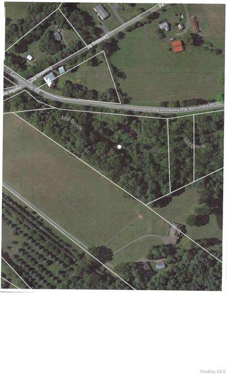 Samsonville Road - Photo 1