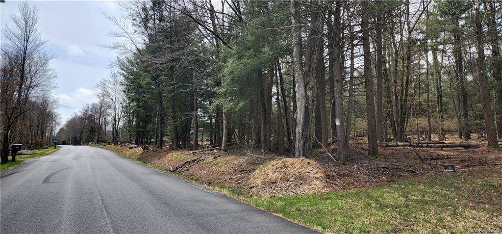 Rose Valley Road - Photo 1
