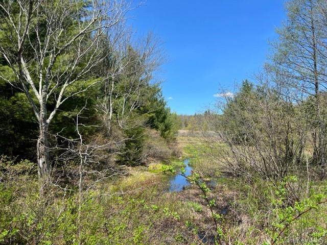 Lot #23 New Road (Aka County Route 56) - Photo 1