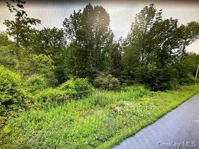 Eatontown Road - Photo 1