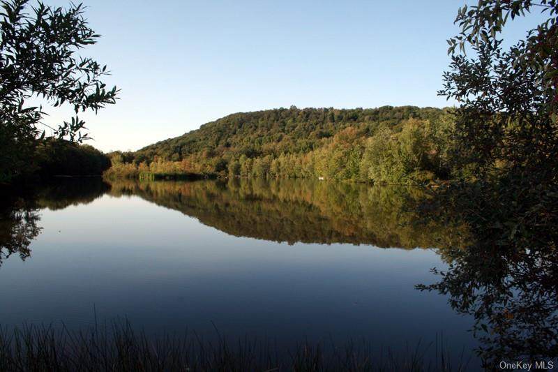 Blackberry Lake Road - Photo 1