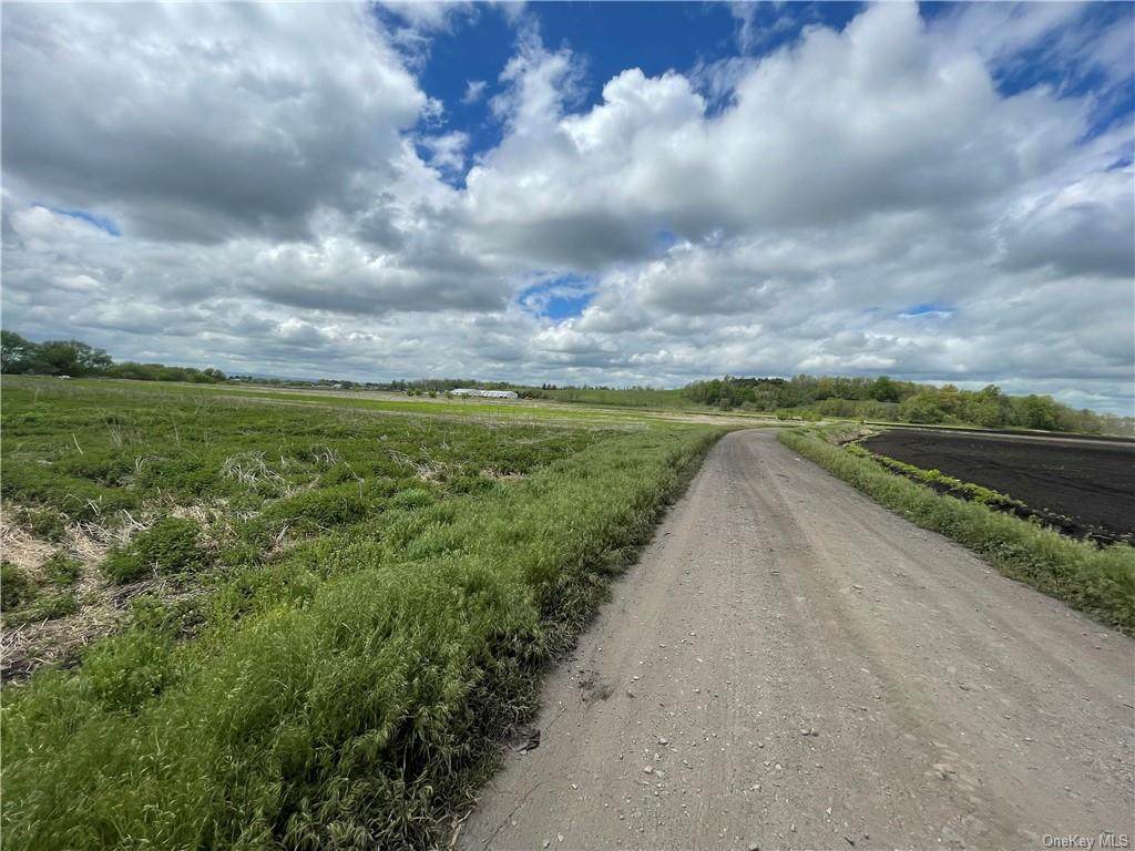 Big Island Road - Photo 1