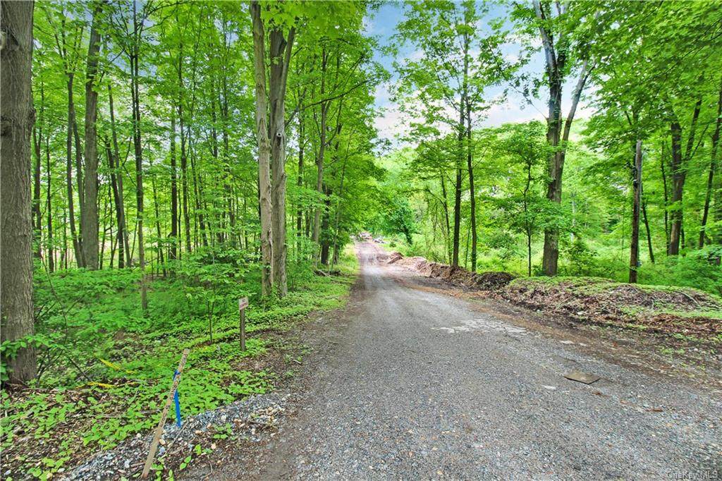 Ferris Lane - Photo 1