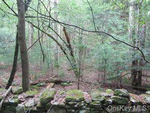 42 Peaceable Hill Road - Photo 1