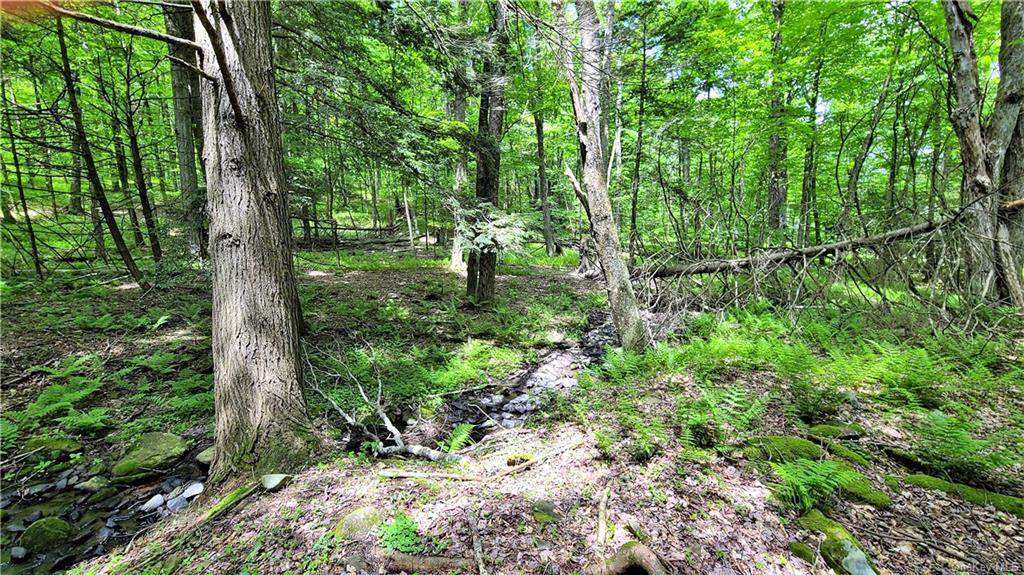 Fairweather Road - Photo 1