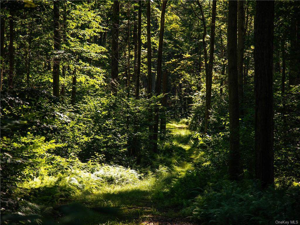 Lot 39 Woodstone Trail - Photo 1