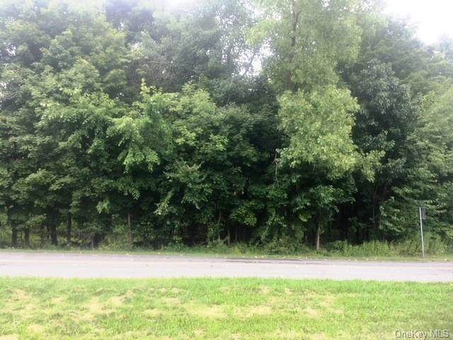 3748 Us Highway 9W - Photo 1