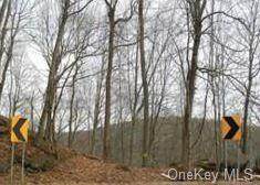 2886 Pleasant Ridge Road - Photo 1