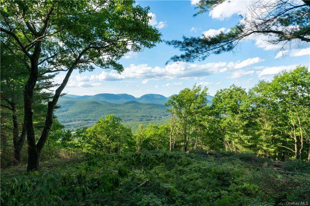 0 Lot Pitcairn Estates - Photo 1