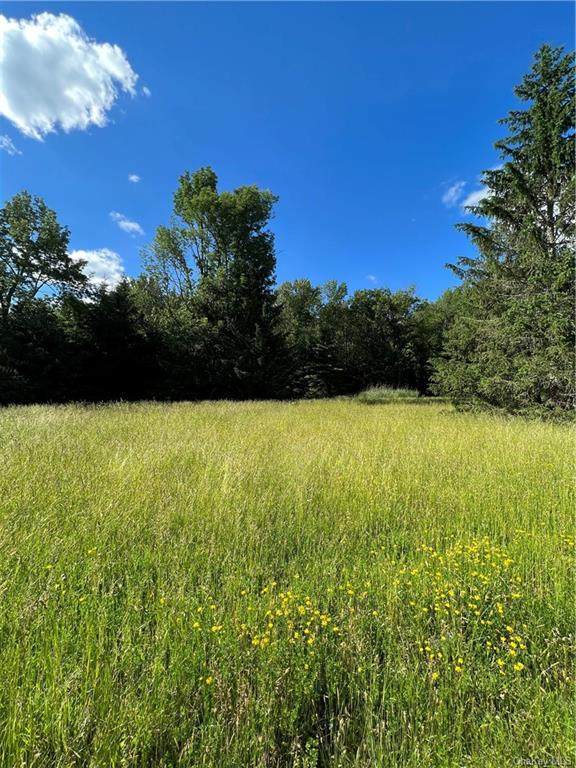Route 42 - Photo 1