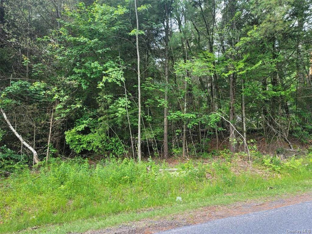 Maplewood Avenue - Photo 1