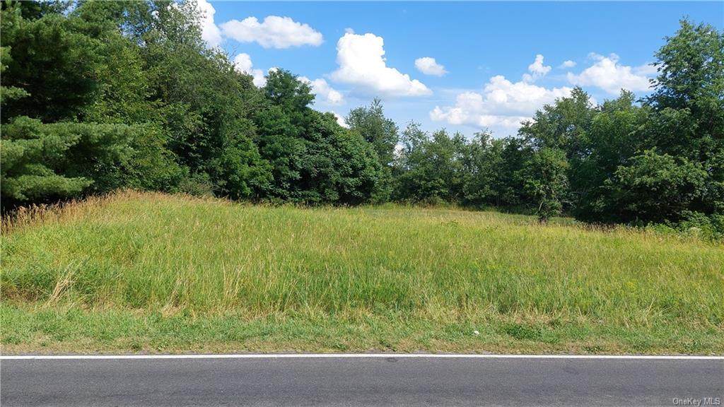 482 Forest Road - Photo 1