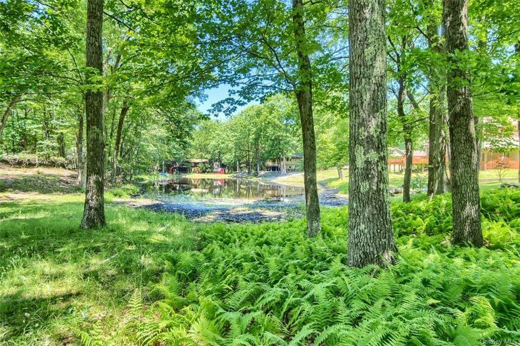 Pond Lane - Photo 1