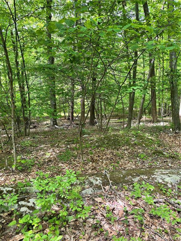 Hawleys Corners Road - Photo 1
