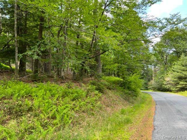 Lot 21.03 Plank Road - Photo 1