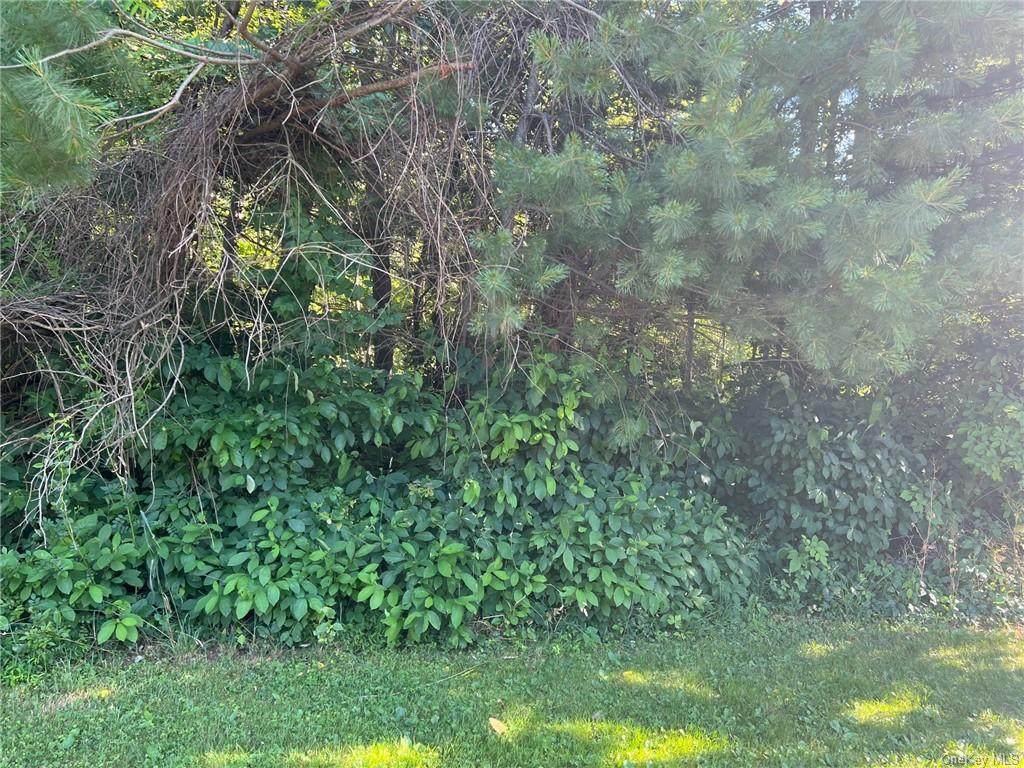 24 Deer Run Road - Photo 1