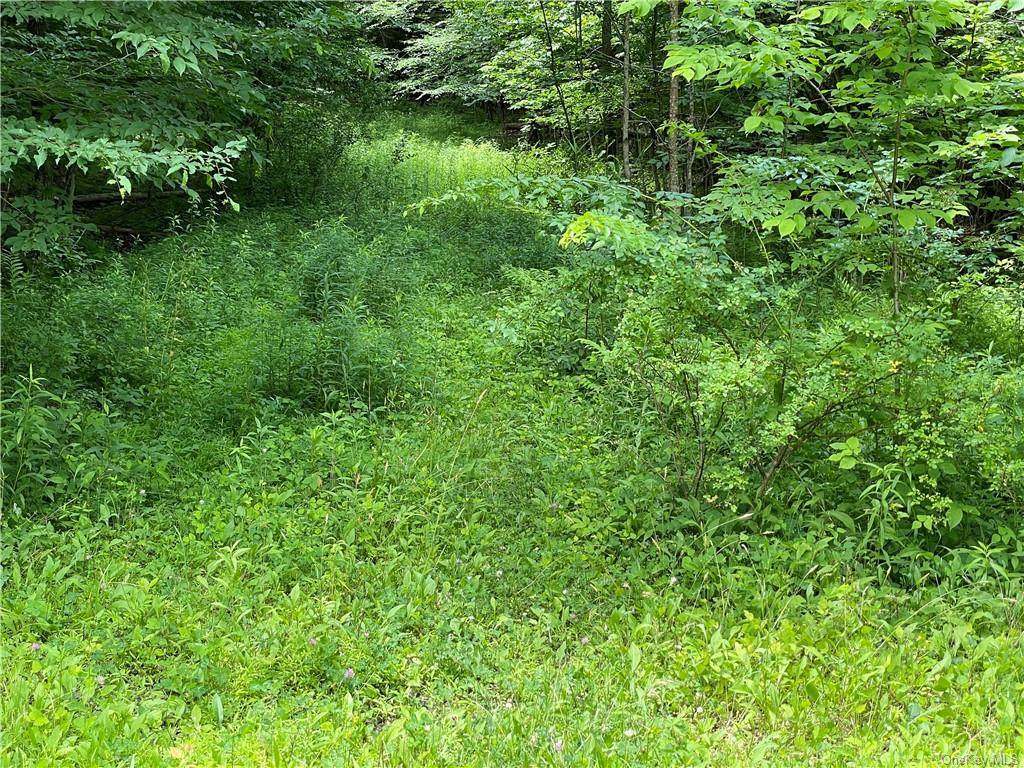 161 lot only Crans Mill Road - Photo 1