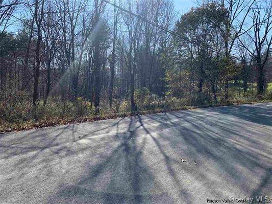 Phillipsport Road - Photo 1