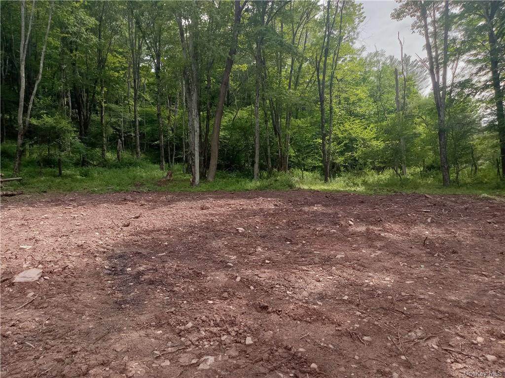 White Roe Lake Road - Photo 1