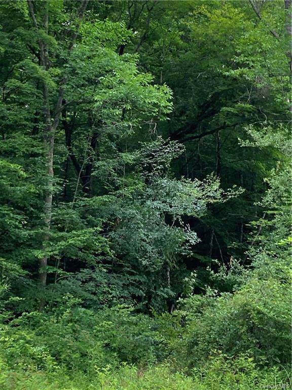 Sands Creek Road - Photo 1