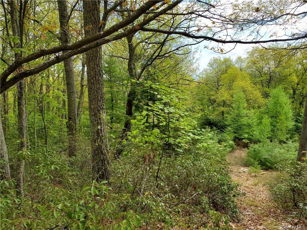 Mount Vernon Road - Photo 1
