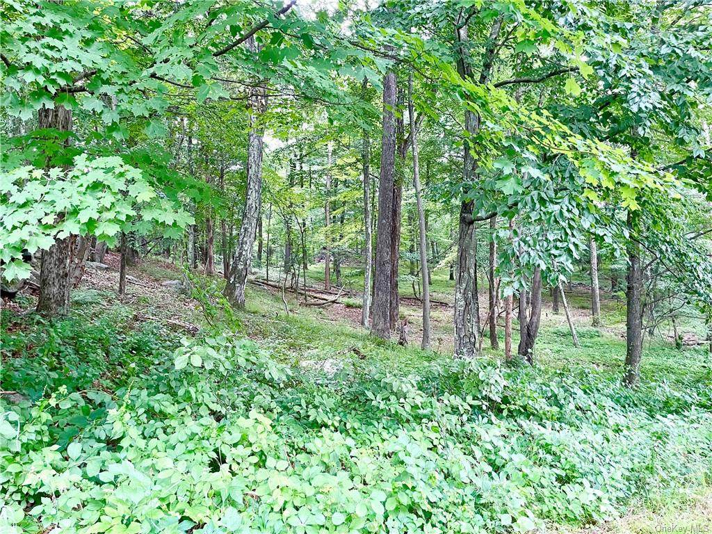 19 Spring House Road - Photo 1