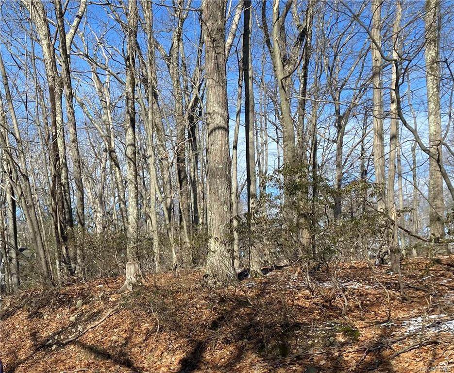 Lot 5 Pond Lane - Photo 1