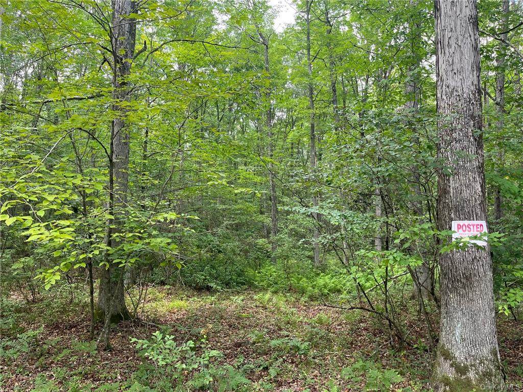 Lot 1.3 Nys 97 - Photo 1