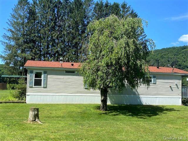 20 Cochecton Road - Photo 1