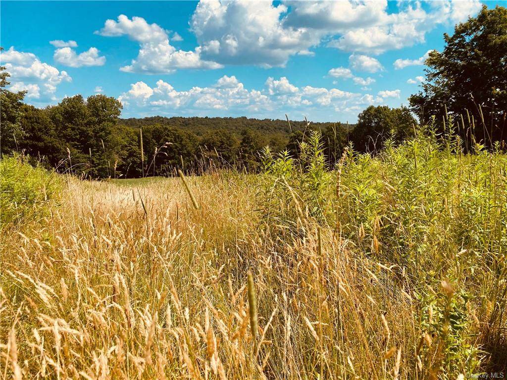 734 Cattail Road - Photo 1