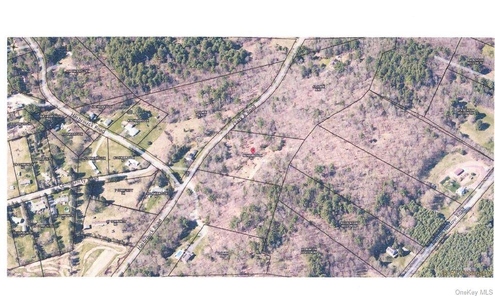 Hasbrouck Road Tr 96 - Photo 1