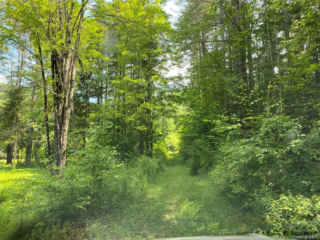 Bear Brook Road - Photo 1