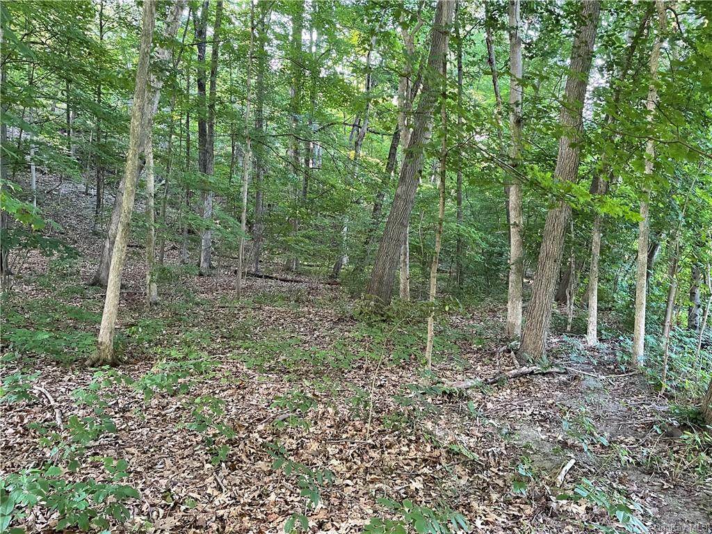 Oak Summit Road - Photo 1