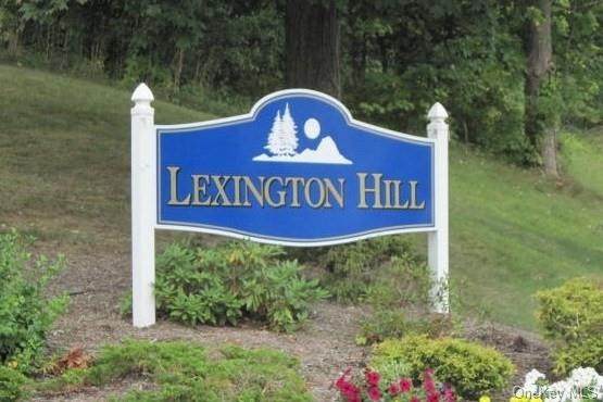 8 Lexington Hill - Photo 1