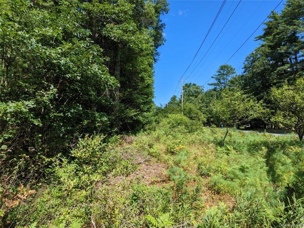 Nys Rt 97 - Photo 1