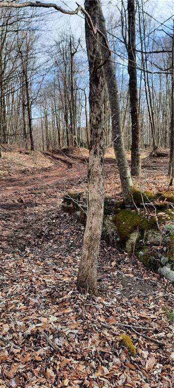 Chiloway Road - Photo 1